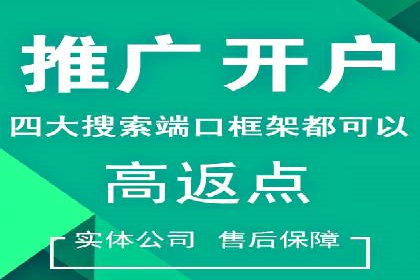 百度SEO推广公司案例分析：成功案例解析